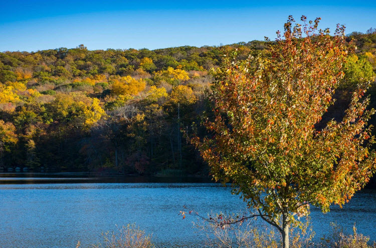 Skylands Region, United States